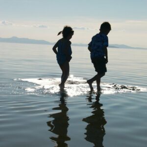 ChildHelp.info - learning emotional regulation a path to harmonious family life